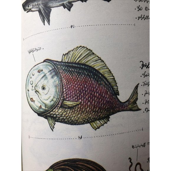 Luigi Serafini Codex Seraphinianus Print 83B - Picture 3 of 16